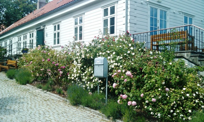 Komite Hillevågsdag logo